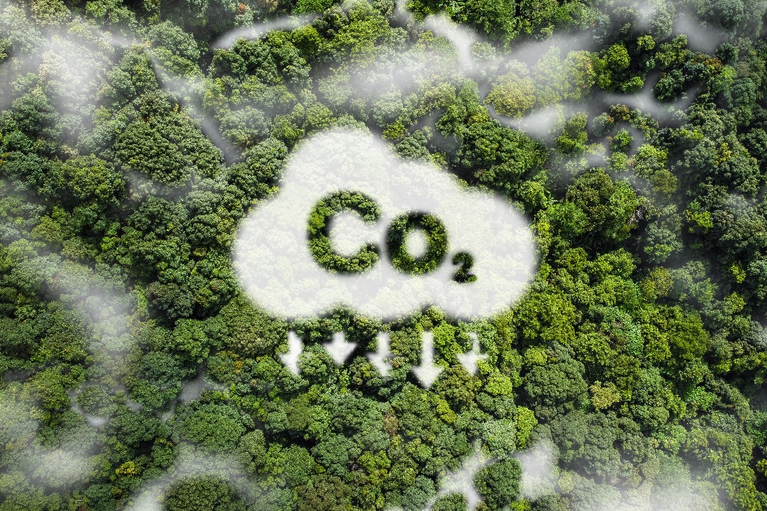 Já ouviu falar em carbono zero? Entenda sobre essa política